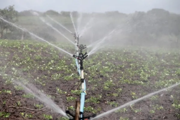 How To Turn On Sprinkler System After Winter 2