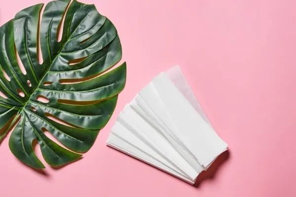 How to Clean Monstera Leaves