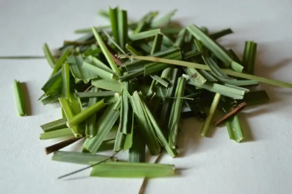 How to Trim Lemongrass