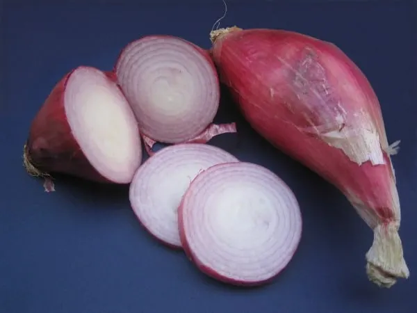 Italian Torpedo Onion Vegetables that Start with I