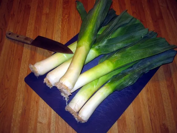 Leek Vegetables That Start With L