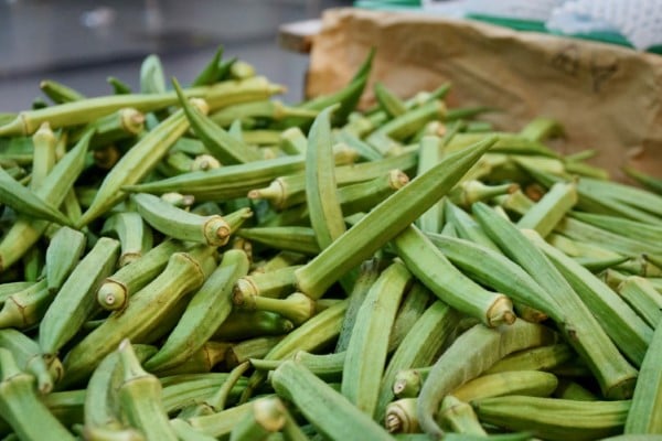 Okra Vegetables that start with O