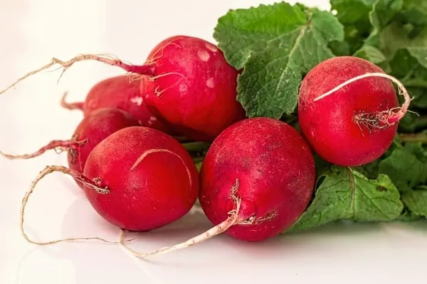 Radish Vegetables that start with R