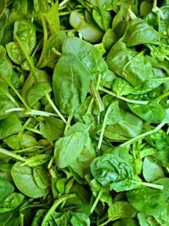 Spinach Fresh Vegetable Vegetable Food Nutrition