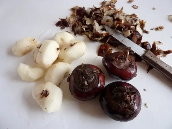 Water chestnut Vegetables That Start with W