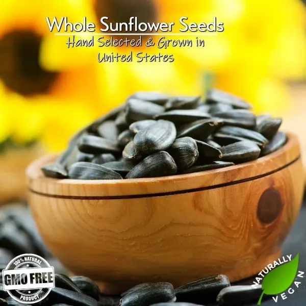 GERBS Jumbo Whole Lightly Sea Salted Non GMO Sunflower Seeds Best Sunflower Seeds 2