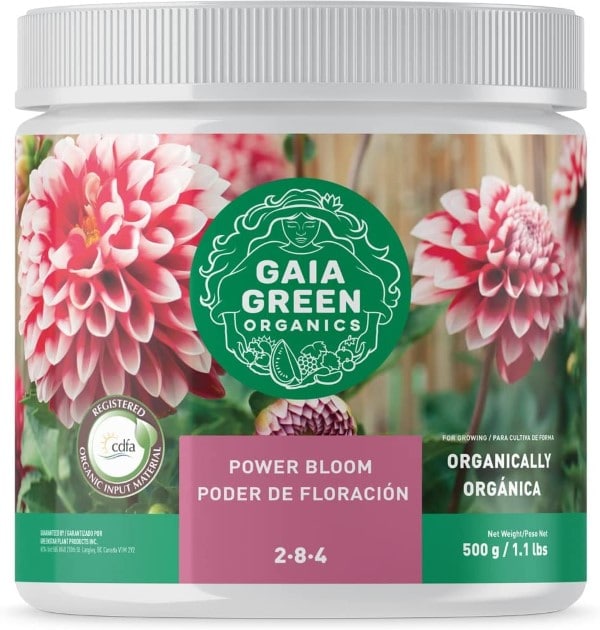 Green Gaia 500 Gram Power Bloom Living Soil Best Gaia Green Living Soil Reviews