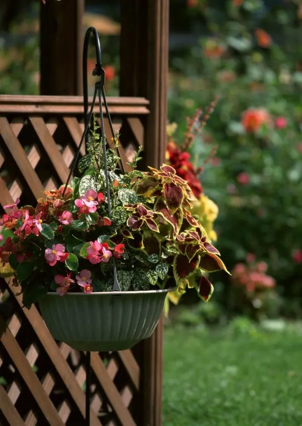 How to Hang Plants Without Drilling 3