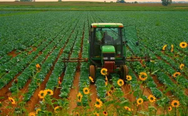 How to Make Rows in a Garden with a Tractor