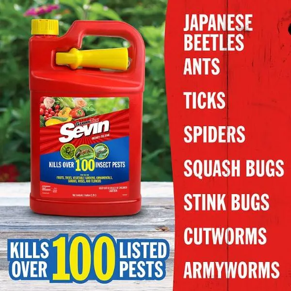 Sevin 100519576 Ready to Use Bug Killer Why Is Sevin Prohibited On Lawns 2