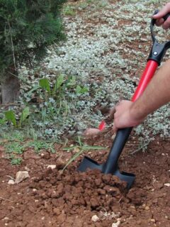 TABOR TOOLS Round Pointed Comfortable D Grip Shovel for Digging in Clay Best Shovel For Digging In Clay 2