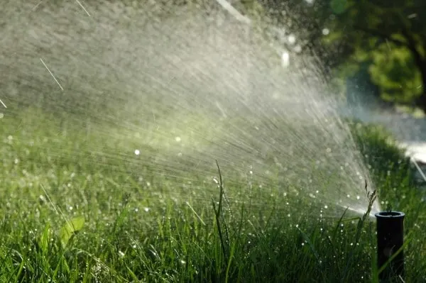 When To Turn On Sprinklers 2