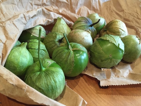 Why Are My Tomatillos Splitting