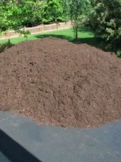Why Does Mulch Smell Like Poop 2