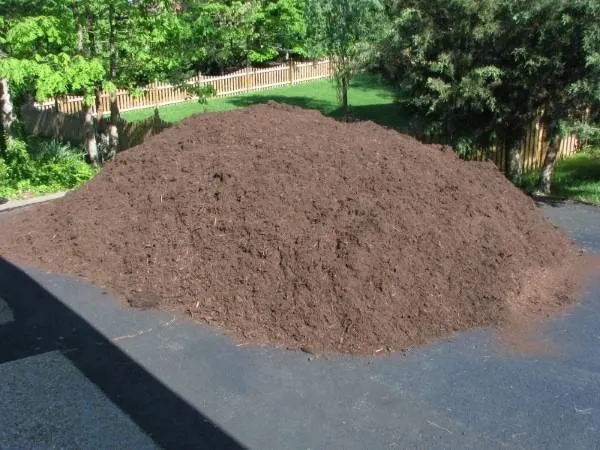 Why Does Mulch Smell Like Poop 2