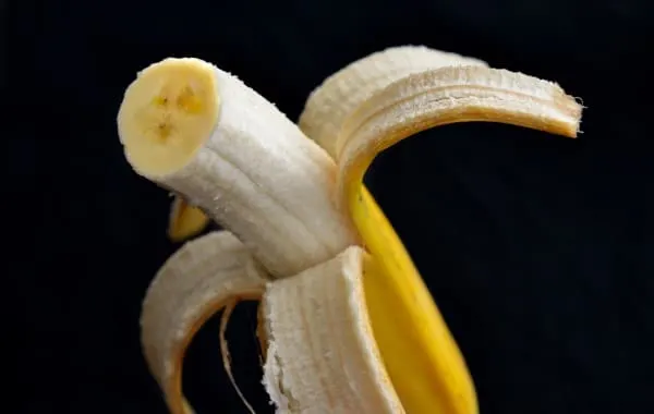Why Dont Bananas Have Seeds
