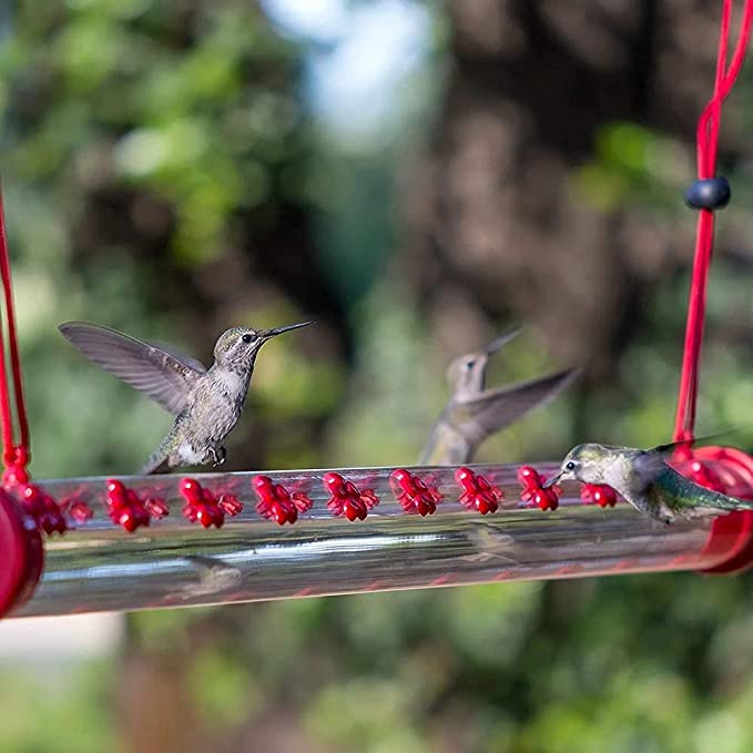 MISEDI 15.7 Bobs Best Hummingbird feeder 2