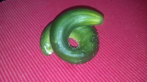 Why Are My Cucumbers Curling 1