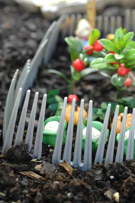 Why Put Plastic Forks In Garden 3