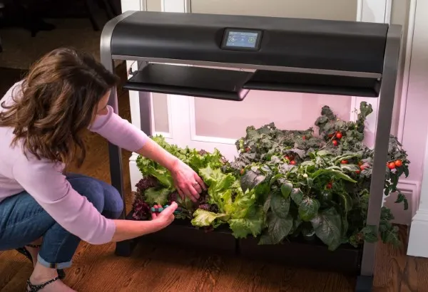 AeroGarden w Salad Bar Farm 24Plus Best Aerogarden for Lettuce product 2