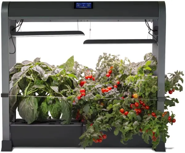 AeroGarden w Salad Bar Farm 24Plus Best Aerogarden for Lettuce product