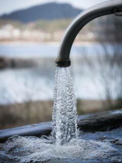 Hard water comming out of tap. What Is Soft Water and How to Soften Hard Water for Plants