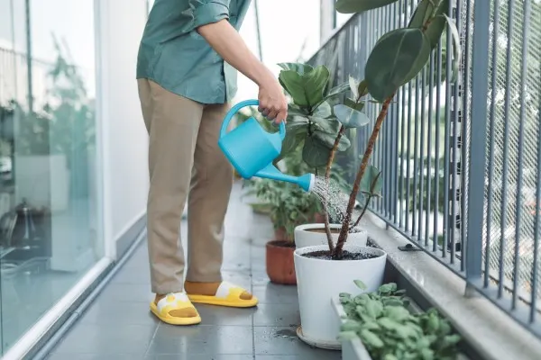 How To Water Plants On A Balcony 2