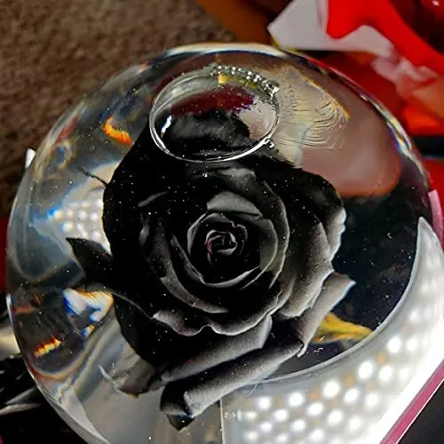 How To Preserve A Rose In Water Globe?