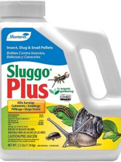 Monterey LG6570 Sluggo Plus Wildlife and Pet Safe Slug Killer How to Apply Sluggo