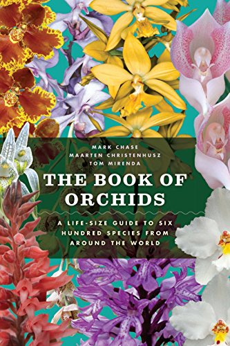 The Book of Orchids The Life Size Guide by Mark W. Chase Best Orchid Books