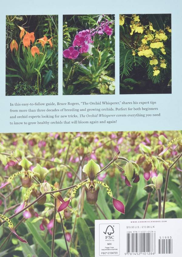The Orchid Whisperer Expert Growing Beautiful Orchid Book Secrets by Bruce Rogers Best Orchid Books 2