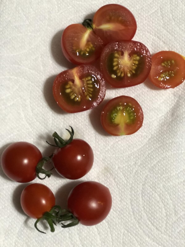 Why Are Tomato Seeds Green 2