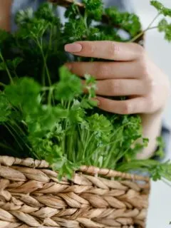 A person holding a basket filled with coriander