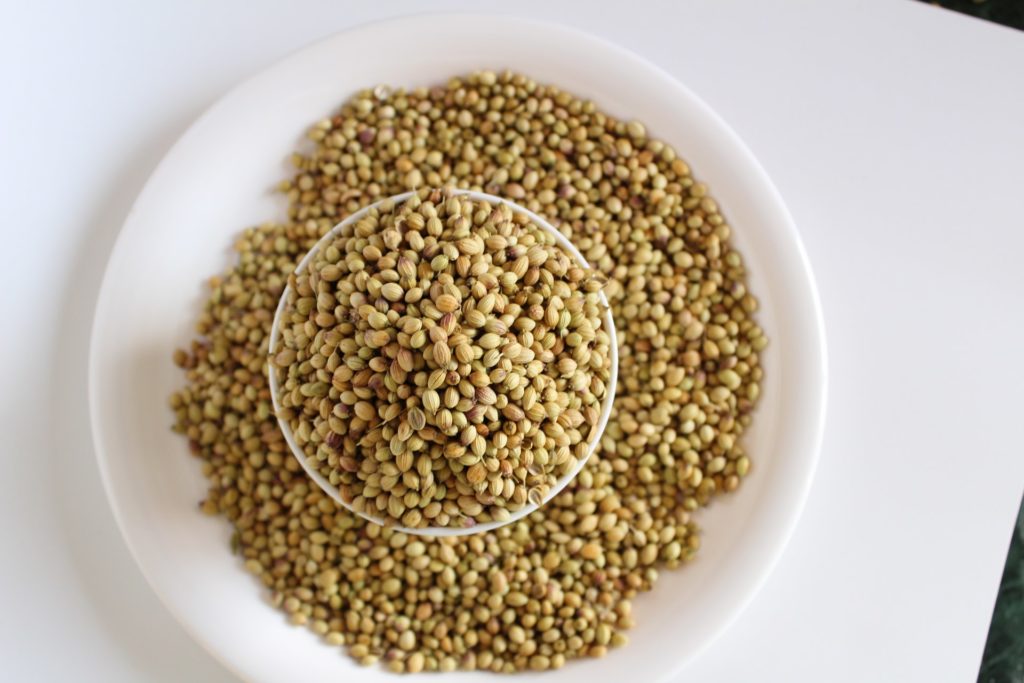Coriander seeds—how to harvest cilantro without killing the plant?