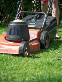 Lawn mower on grass—keep your lawn green in the summer heat