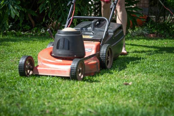 Lawn mower on grass—keep your lawn green in the summer heat