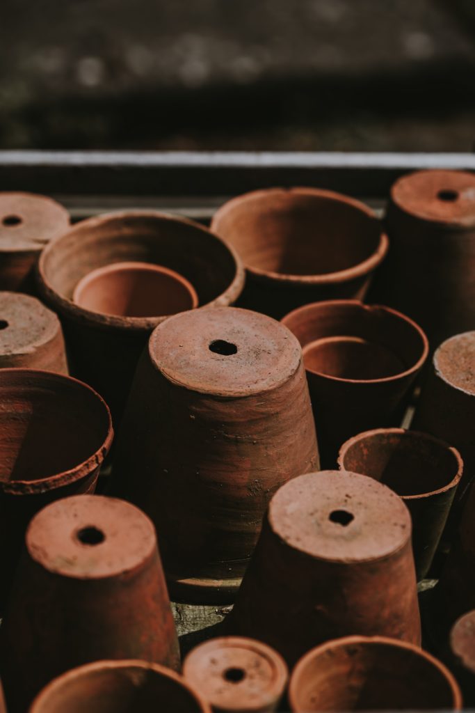 Plant pots with drainage holes—Why are my Vinca leaves turning yellow?