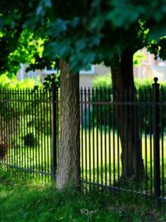 A fence in a garden—how to cut grass near a fence 1