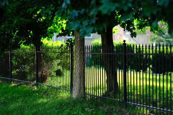A fence in a garden—how to cut grass near a fence 1