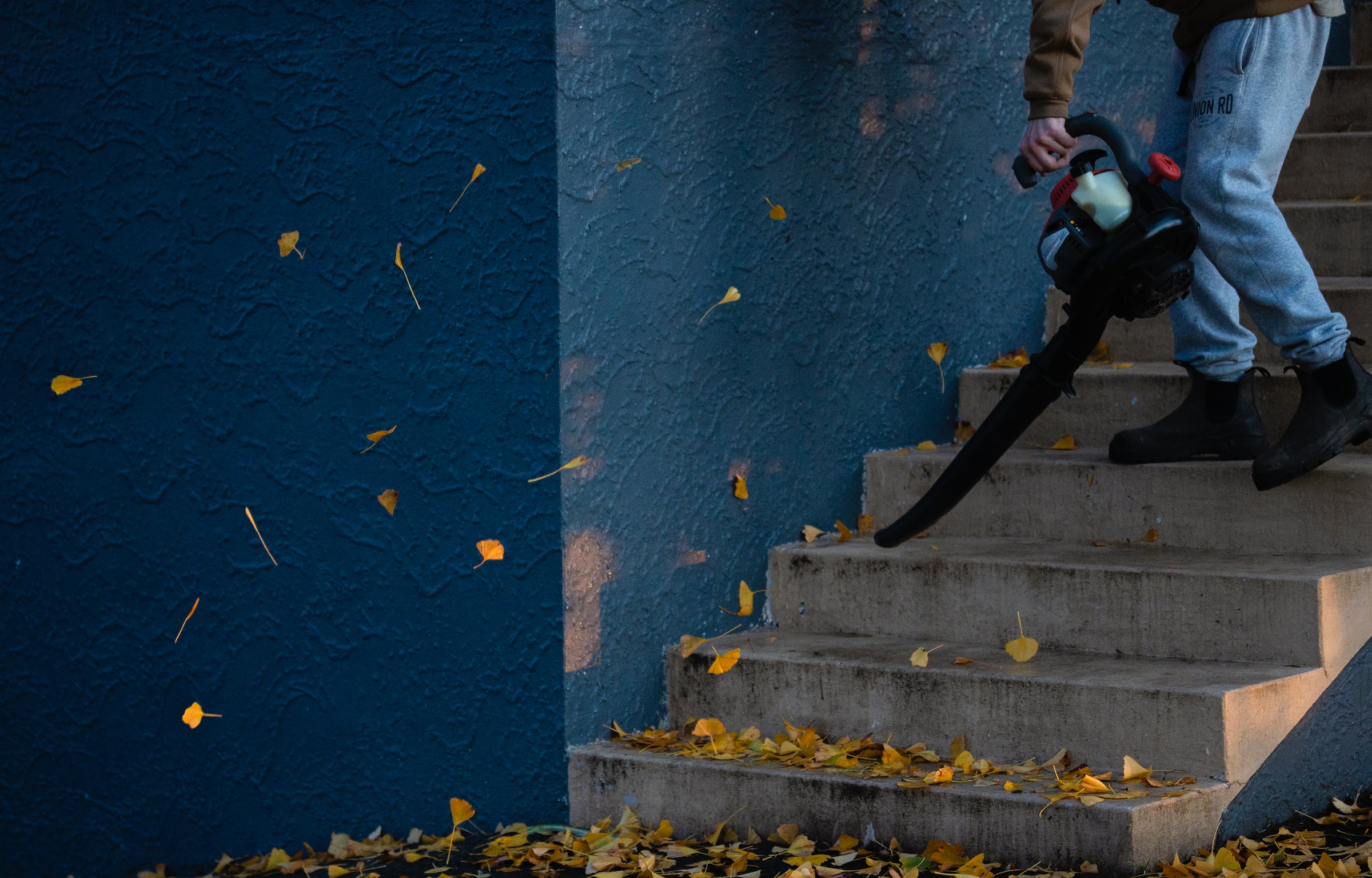 Electric and Gas Leaf Blowers A Discerning Guide!
