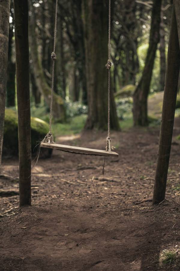 A tree swing—how to hang a tree swing on an angled branch