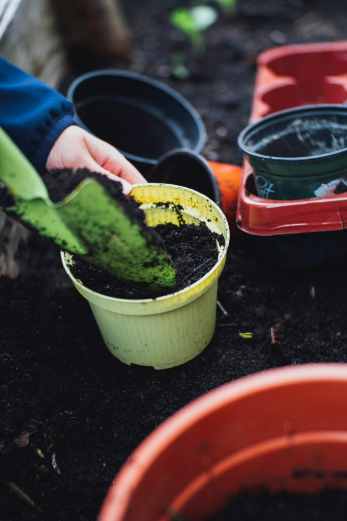 Man filling a pot with soil—how to grow broccoli from stem?