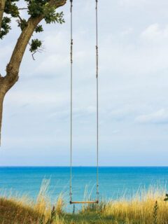 Wooden swing overlooking the calm sea—how to hang a rope swing from a tall tree