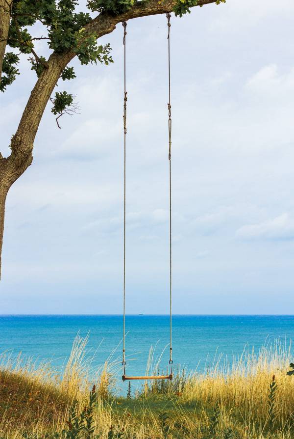Wooden swing overlooking the calm sea—how to hang a rope swing from a tall tree