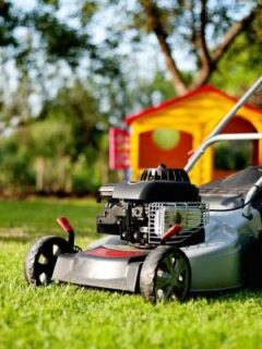 A man with a lawn mower—when can I mow after overseeding