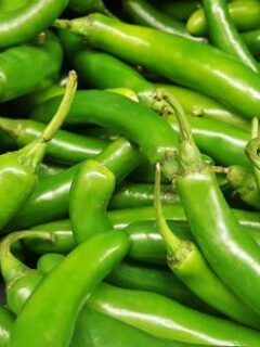 Green serrano peppers—when are serrano peppers ready to pick