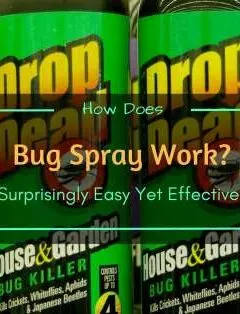 How Does Bug Spray Work