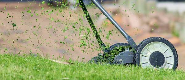 Lawn mower—Craftsman vs. Toro lawn mower