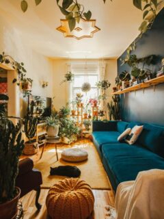 A room embellished with indoor plants—why arent my indoor plants growing
