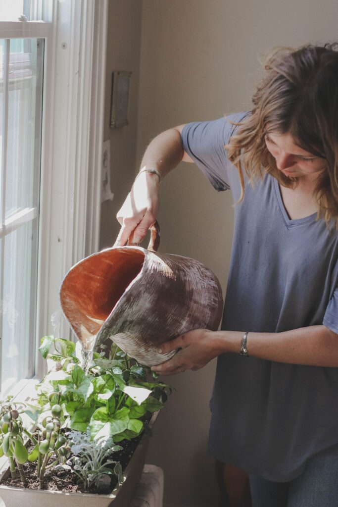 A woman watering a plant—Why Aren't My Indoor Plants Growing?